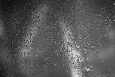 Similar image 13047016