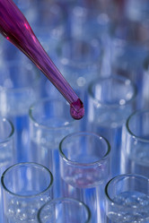 Similar image 13047040