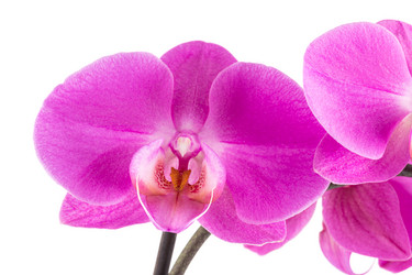 Similar image 13060005