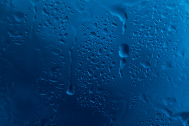 Similar image 13060006