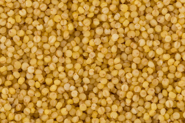 Similar image 13060066