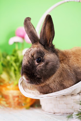 Similar image 13034298