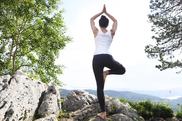 Similar image 13005570