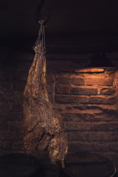 Similar image 13035832