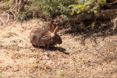 Similar image 13051841