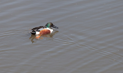 Similar image 13051859