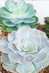 Similar image 13038885