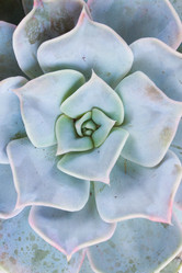 Similar image 13039293