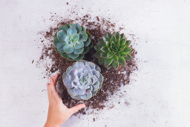 Similar image 13040111