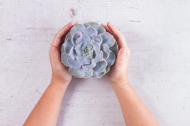 Similar image 13040190