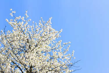 Similar image 13038528