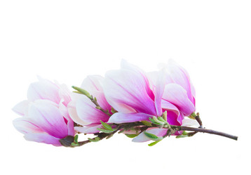 Similar image 13046086