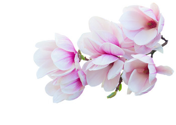 Similar image 13046103