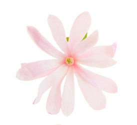 Similar image 13046125