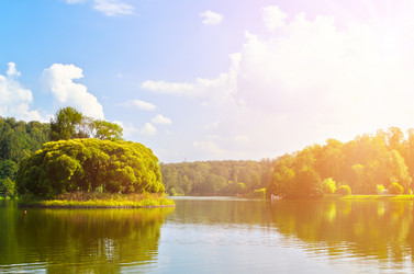 Similar image 13004806