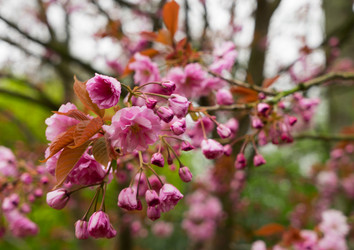 Similar image 13038807