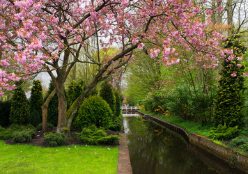 Similar image 13039223