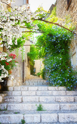 Similar image 13038930