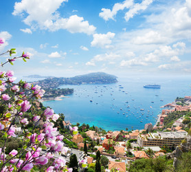 Similar image 13039266