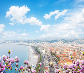 Similar image 13039269