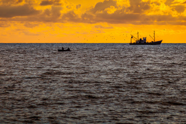 Similar image 13061526