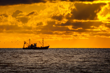 Similar image 13061908