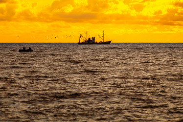 Similar image 13061909