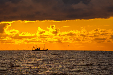 Similar image 13061910