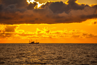 Similar image 13061912