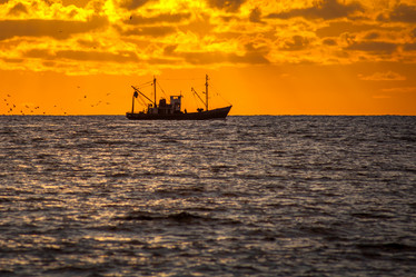 Similar image 13061913