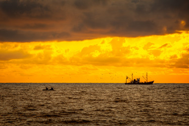 Similar image 13061914