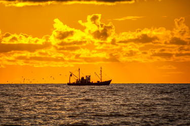 Similar image 13061915