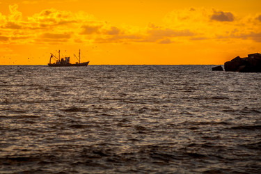 Similar image 13061916