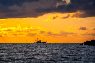 Similar image 13061933