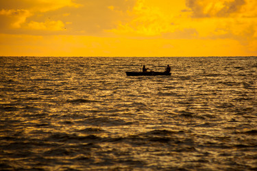 Similar image 13061937