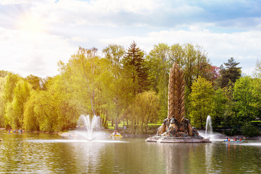 Similar image 13004838