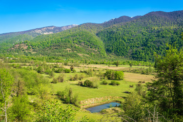 Similar image 13065356