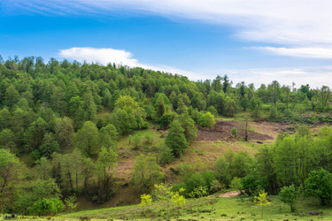 Similar image 13065357