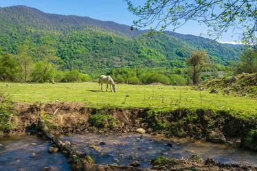 Similar image 13065358