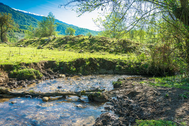 Similar image 13065359