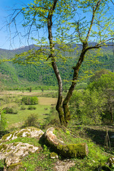 Similar image 13065360