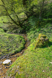 Similar image 13064460