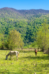 Similar image 13064461