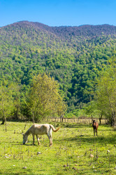 Similar image 13064462