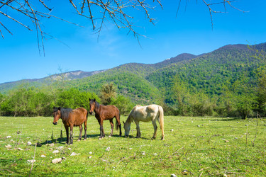 Similar image 13064463