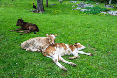 Similar image 13064466