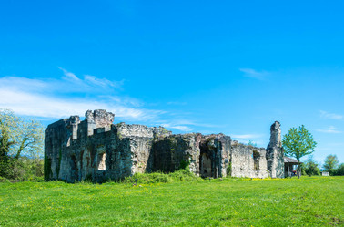 Similar image 13064521