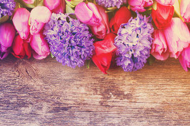 Similar image 13023640