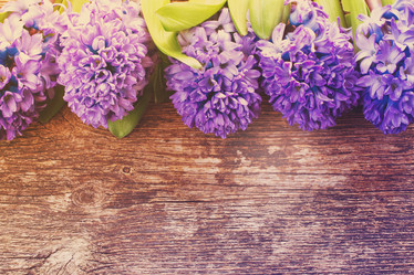 Similar image 13039005