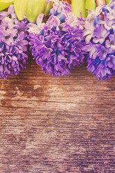 Similar image 13039007